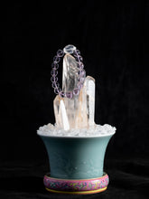 【Purple crystal】Juicy grape